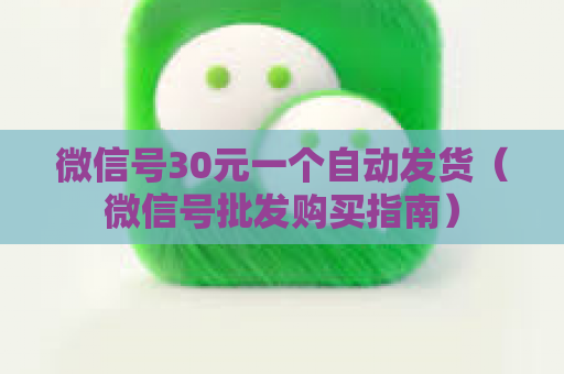 微信号30元一个自动发货（微信号批发购买指南）