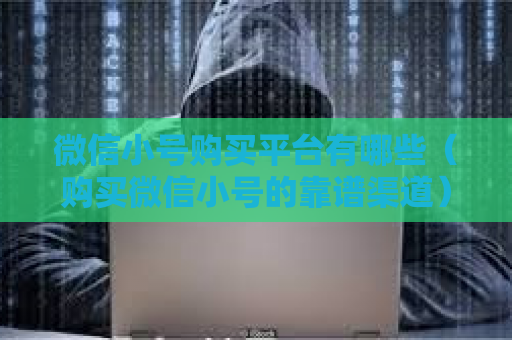 微信小号购买平台有哪些（购买微信小号的靠谱渠道）
